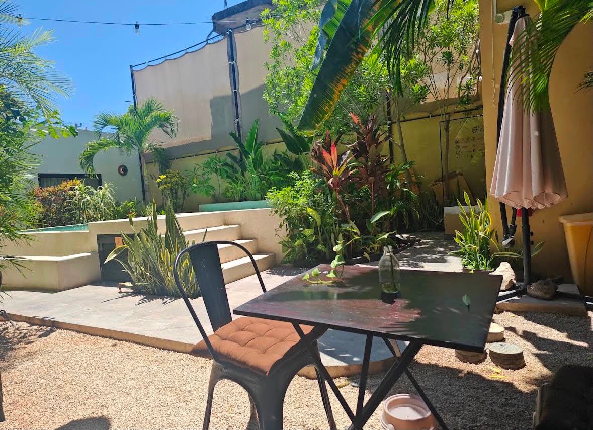 Área de comedor de Migrante Café